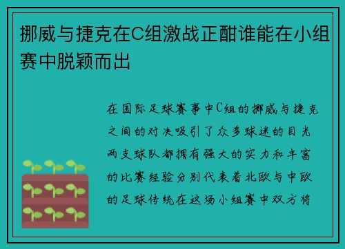 挪威与捷克在C组激战正酣谁能在小组赛中脱颖而出